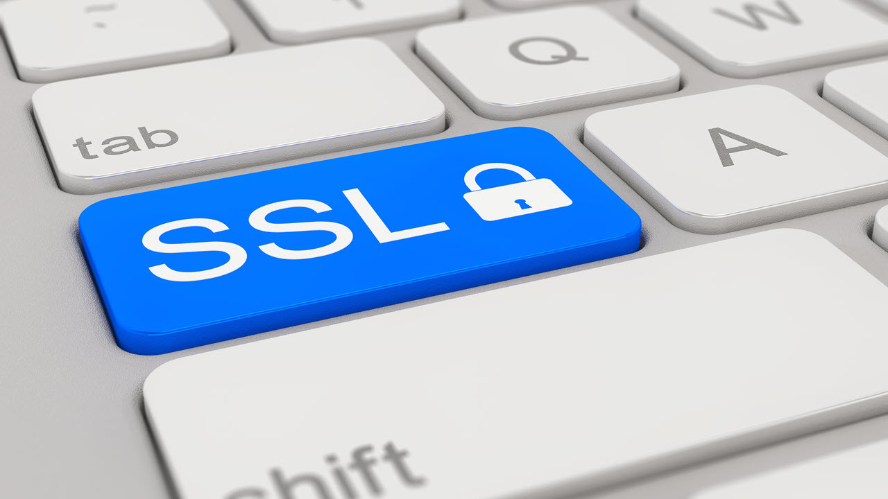 What is SSL (Secure Sockets Layer)? How does it protect a website?